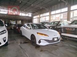 بي واي دي سيل 06 DM-i